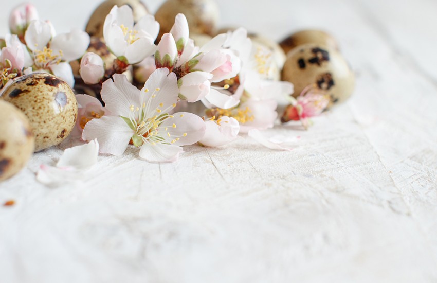 Raccontateci la vostra idea di Pasqua