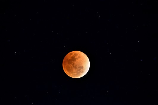 Non perdete la Luna Rosa